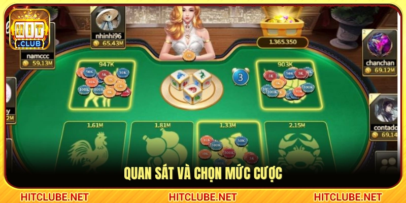  Theo dõi và đặt tiền cược